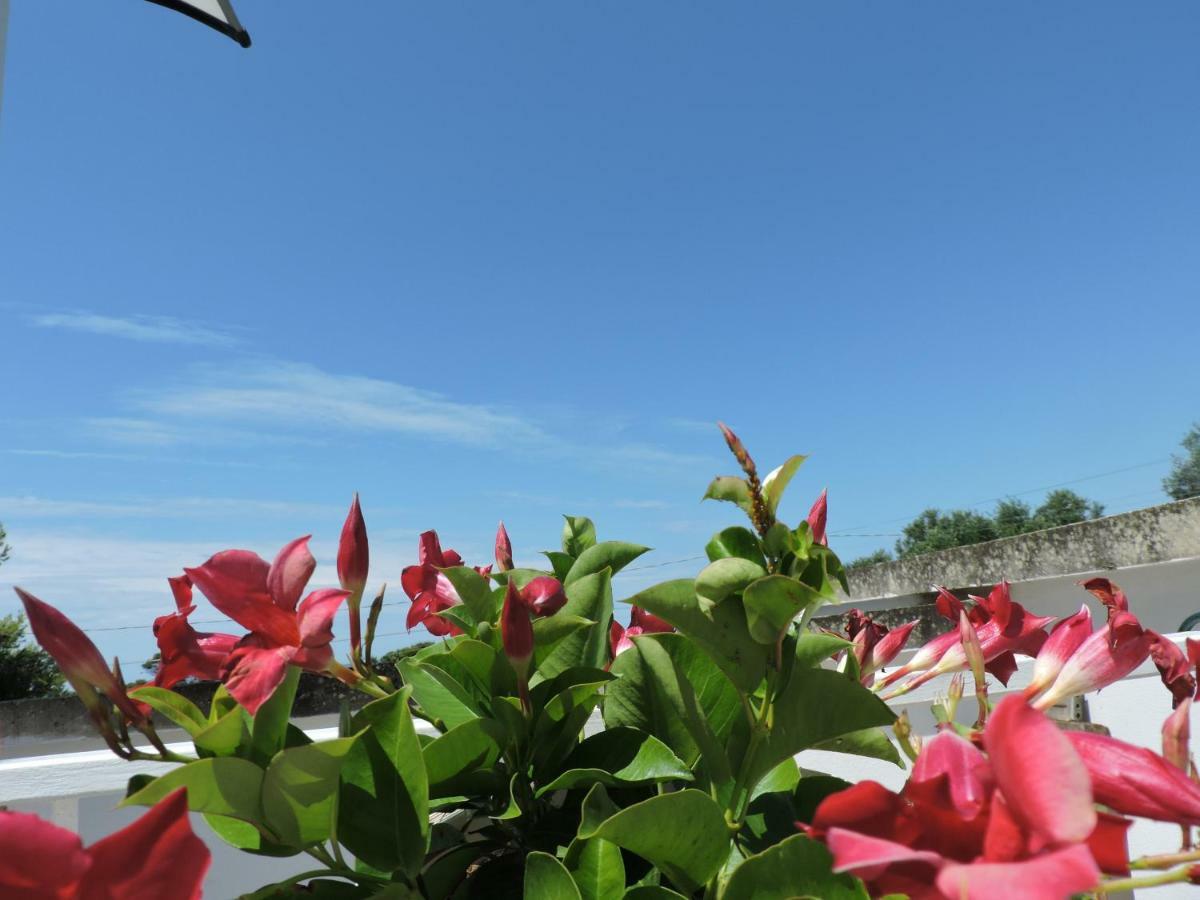 Sogno Mediterraneo Porto Cesareo Zewnętrze zdjęcie